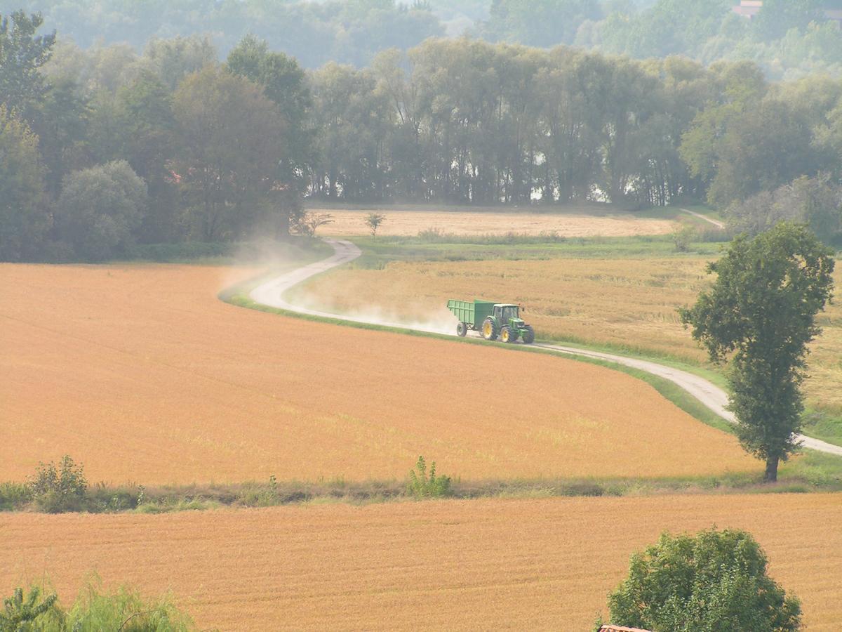 Agriturismo Le Risaie Basiglio Zewnętrze zdjęcie