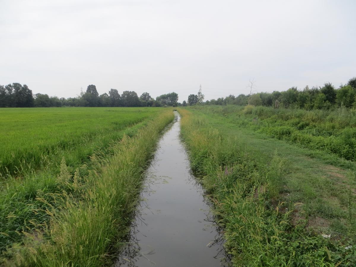 Agriturismo Le Risaie Basiglio Zewnętrze zdjęcie