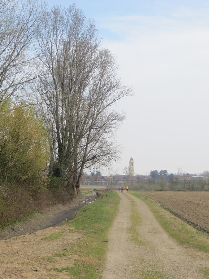 Agriturismo Le Risaie Basiglio Zewnętrze zdjęcie