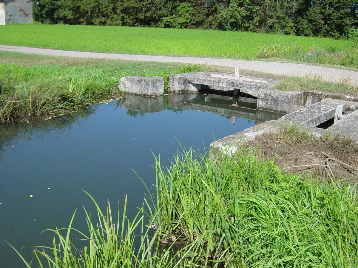 Agriturismo Le Risaie Basiglio Zewnętrze zdjęcie